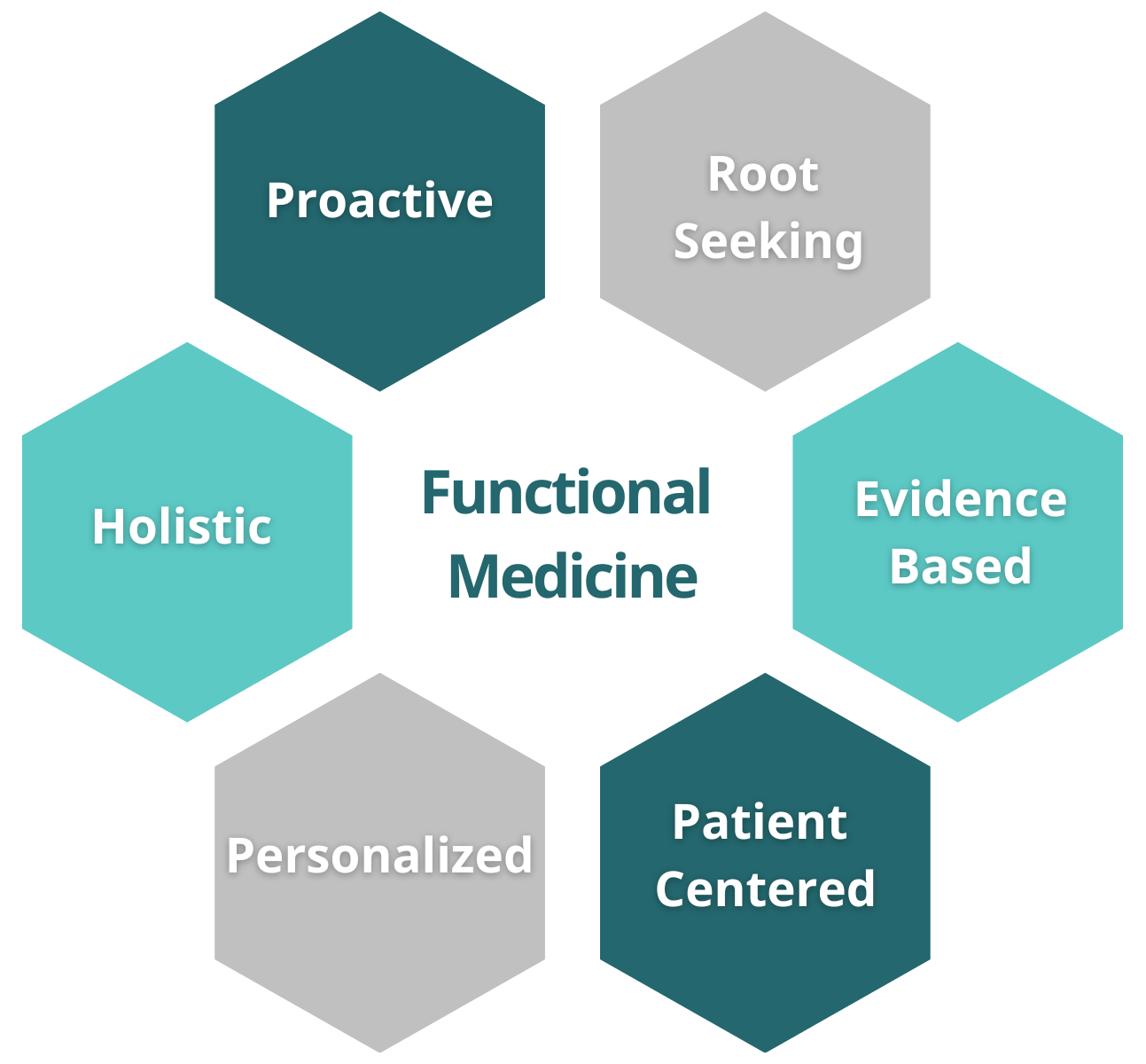 Functional medicine diagram